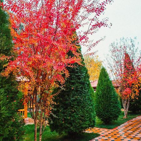 Hotel Grace Garden Kum 外观 照片